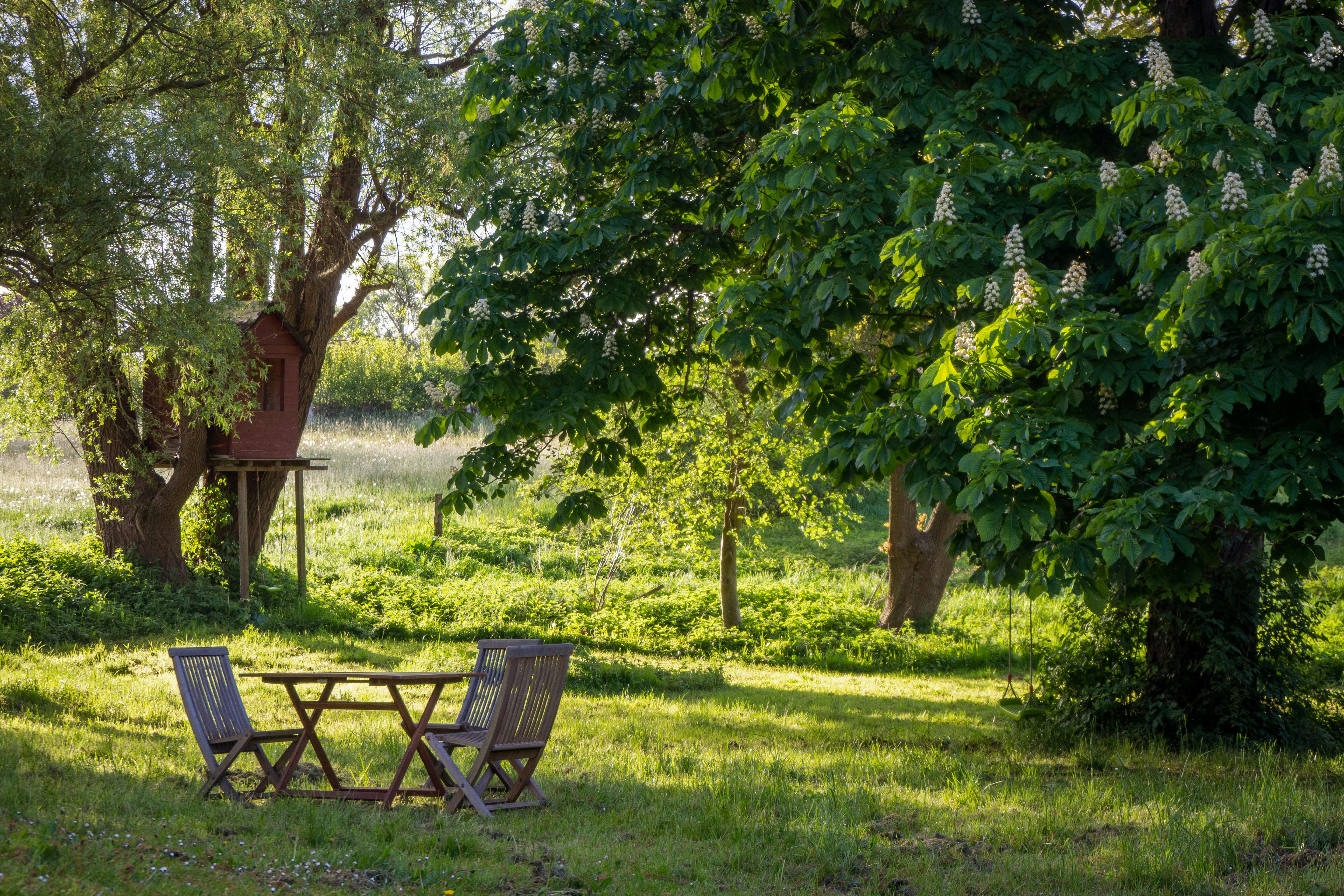 Jardin bucolique à l'anglaise, lors d'une fin d'après-midi en été